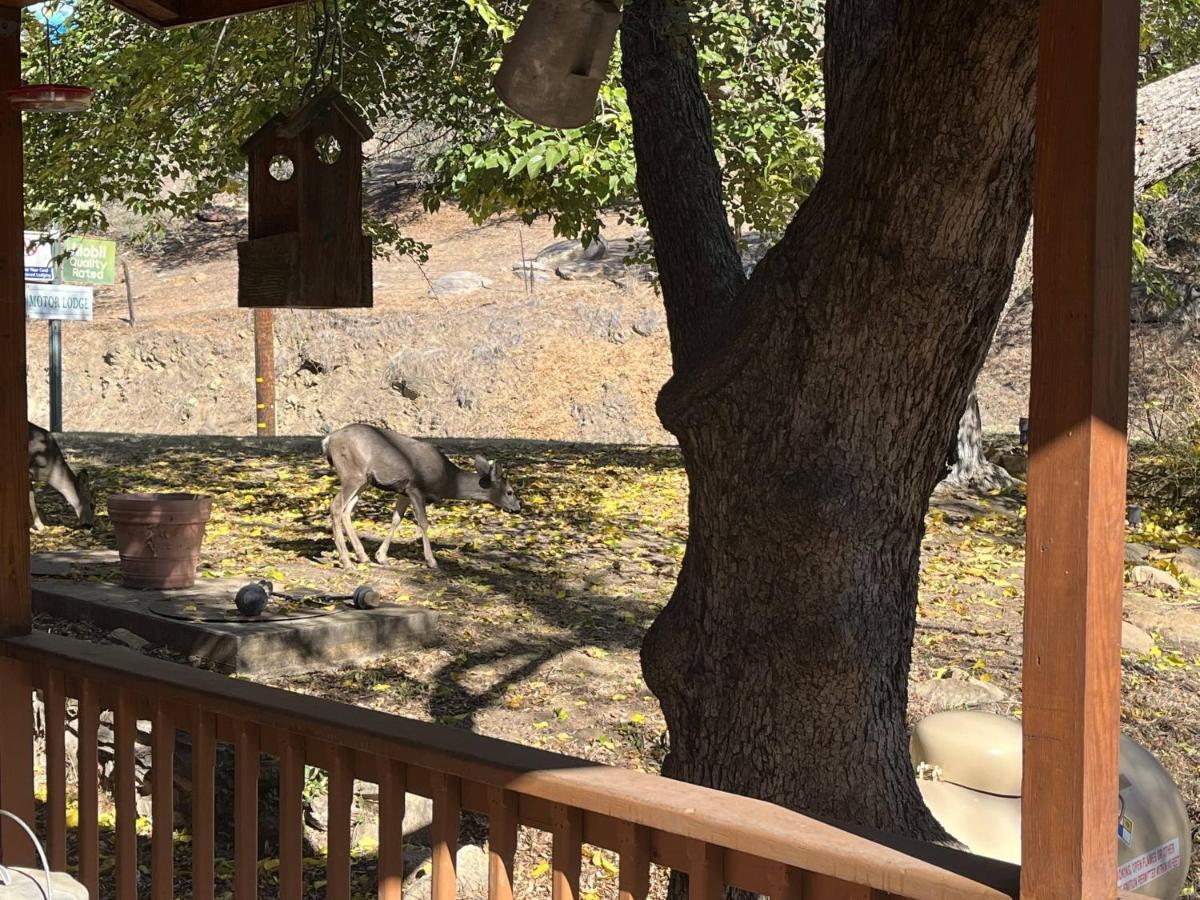 Whispering Pines Kernville